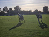 Training S.K.N.W.K. 1, 2 en JO19-1 van donderdag 15 augustus 2024 (44/218)